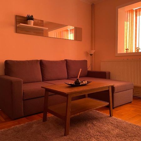 Soho Apartment Fagaras - 1 Bedroom & Extensible Couch Kültér fotó